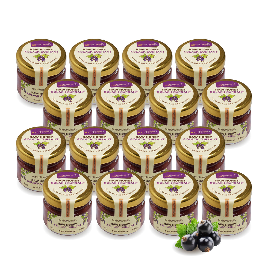 Honey with Black Currants 30g x 16 Mini Jars