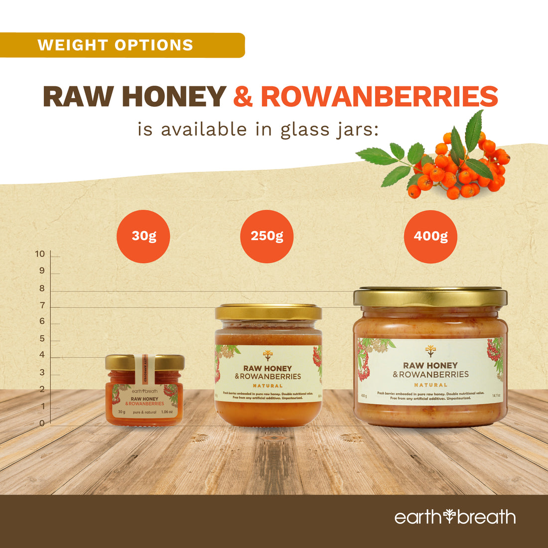 Honey with Rowan Berries 30g x 16 Mini Jars