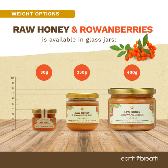 Honey with Rowan Berries 30g x 16 Mini Jars