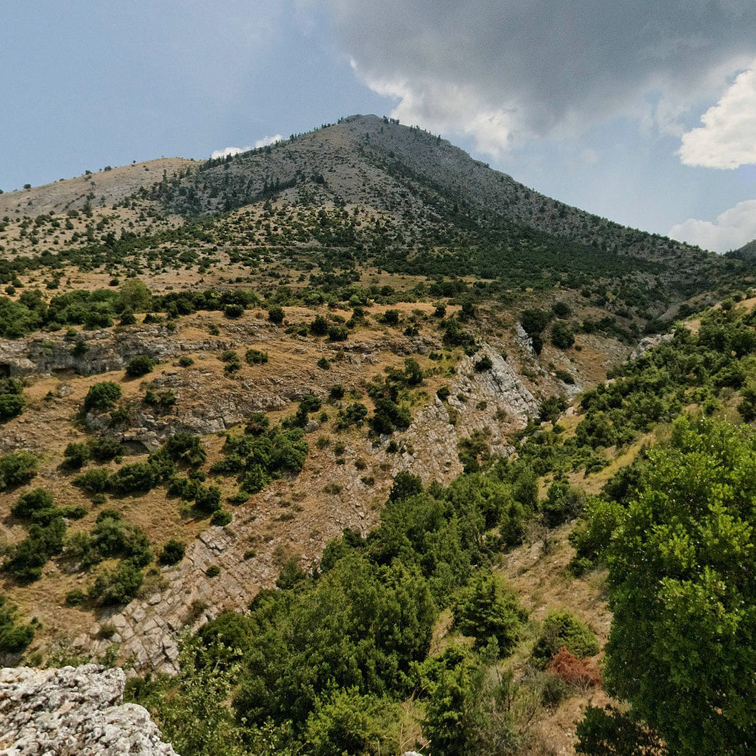 Shrub-covered slopes of Mount Ossa (Kissavos), Greece