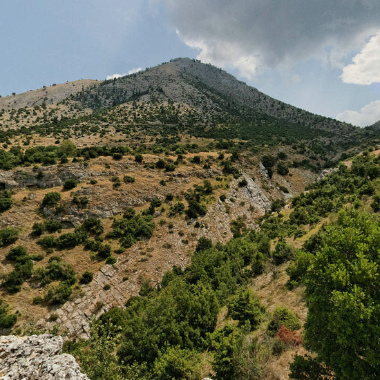 Shrub-covered slopes of Mount Ossa (Kissavos), Greece
