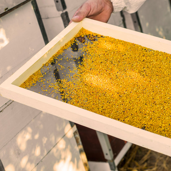 Honey with Bee Pollen Earthbreath
