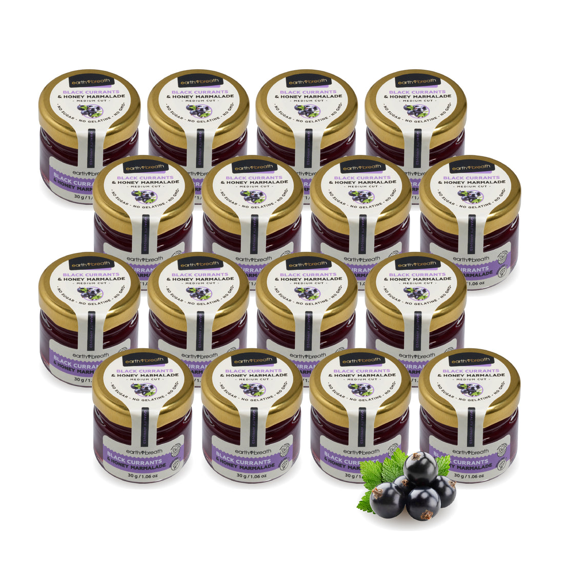 Black Currants & Honey Marmalade 30g x 16 Mini Jars