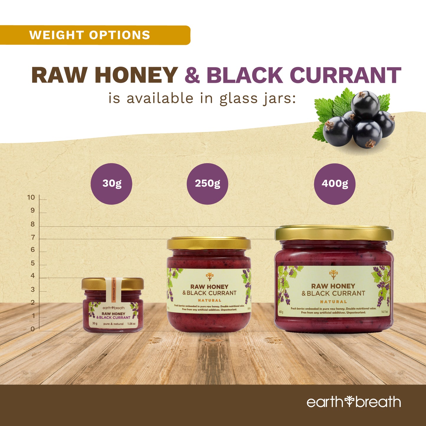 Honey with Black Currants 30g x 16 Mini Jars