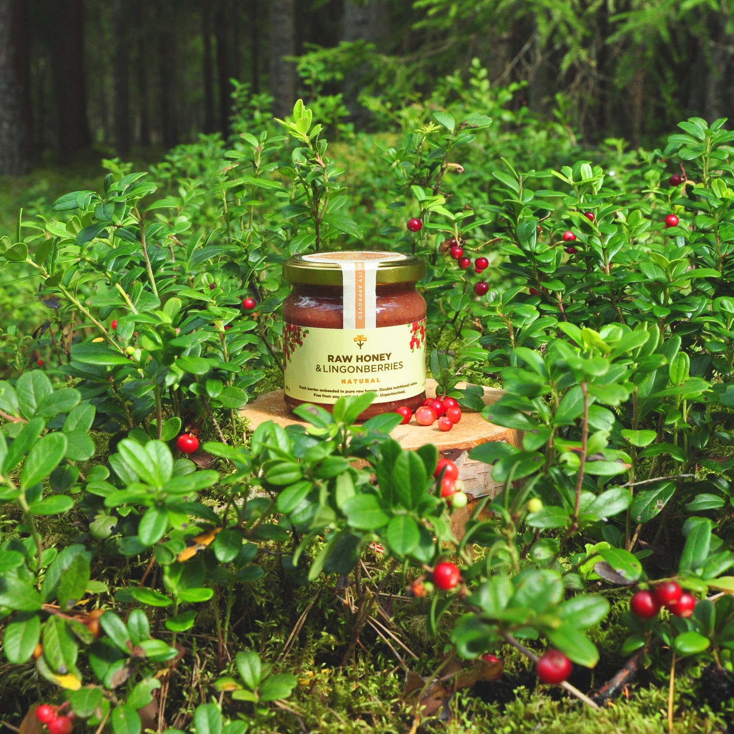 Raw Honey with Lingonberries 250g - 400g