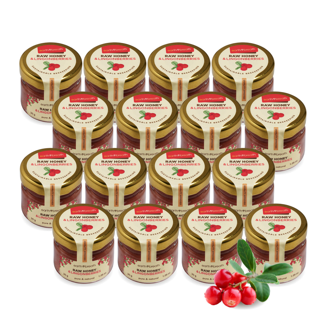 Honey with Lingonberries 30g x 16 Mini Jars