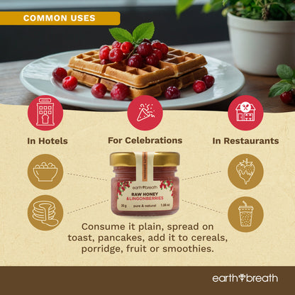 Honey with Lingonberries 30g x 16 Mini Jars