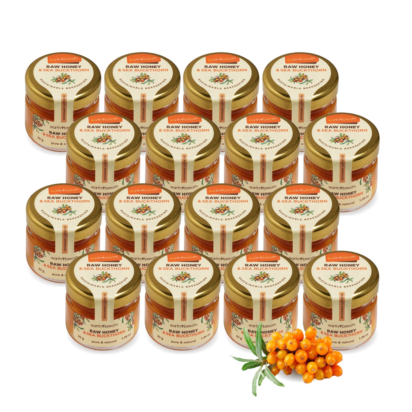 Honey with Sea Buckthorn 30g x 16 Mini Jars (Copy) Earthbreath