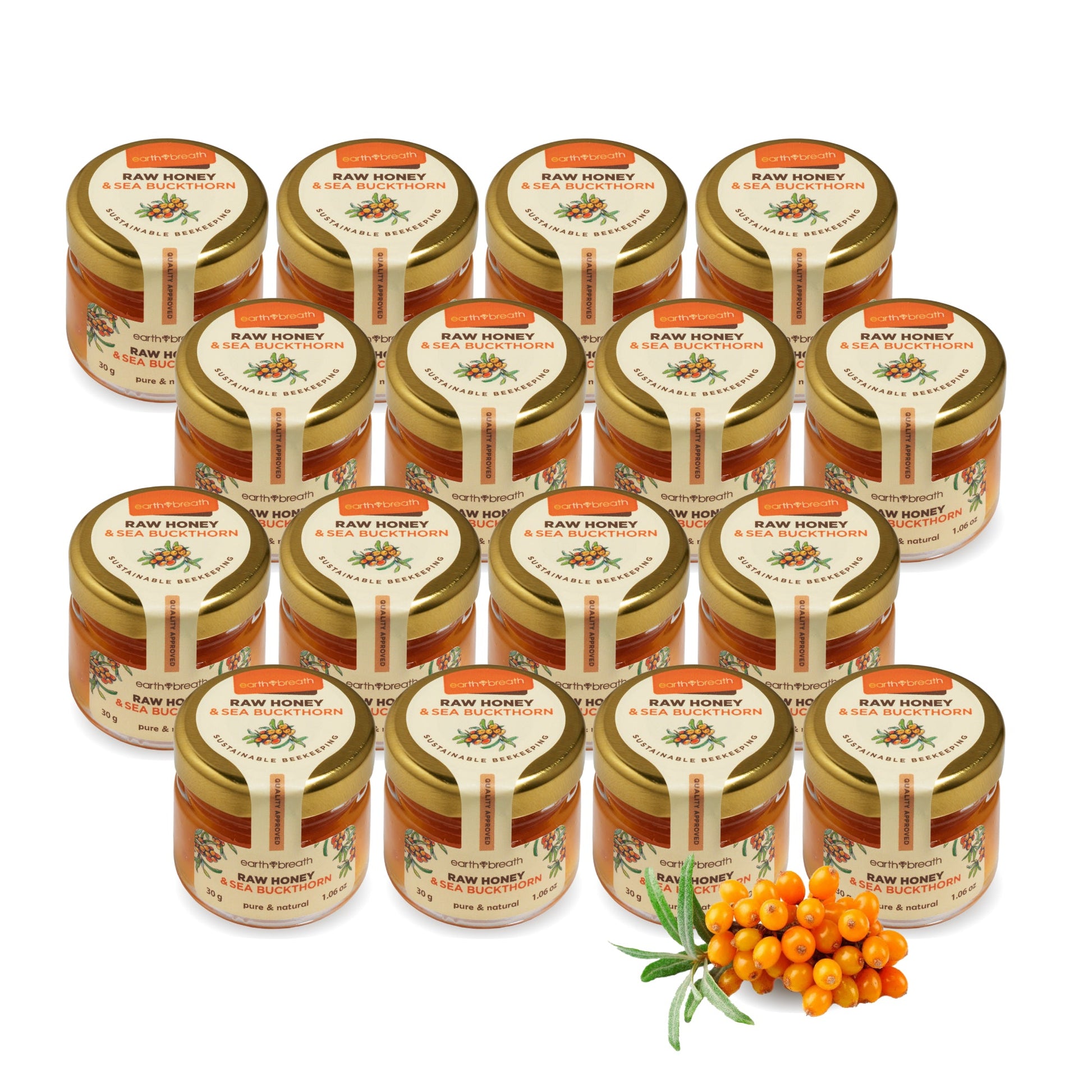 Honey with Sea Buckthorn 30g x 16 Mini Jars (Copy) Earthbreath