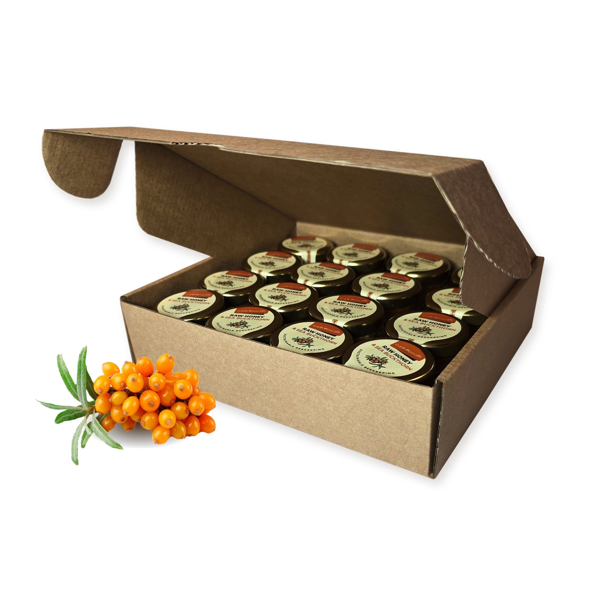 Honey with Sea Buckthorn 30g x 16 Mini Jars (Copy) Earthbreath