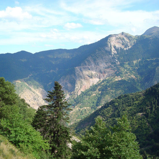 Conifer-covered slopes of the Agrafa mountains, Greece
