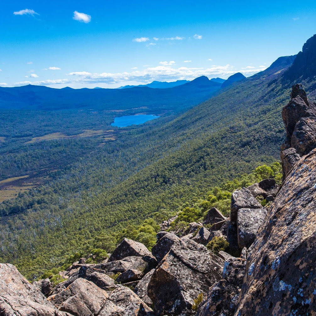 Organic Raw Greek Oak Honey Earthbreath