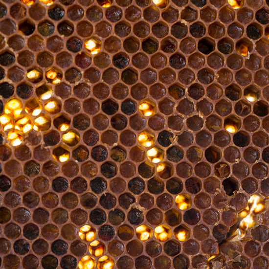 Assorted Bee Bread Pastilles 150g