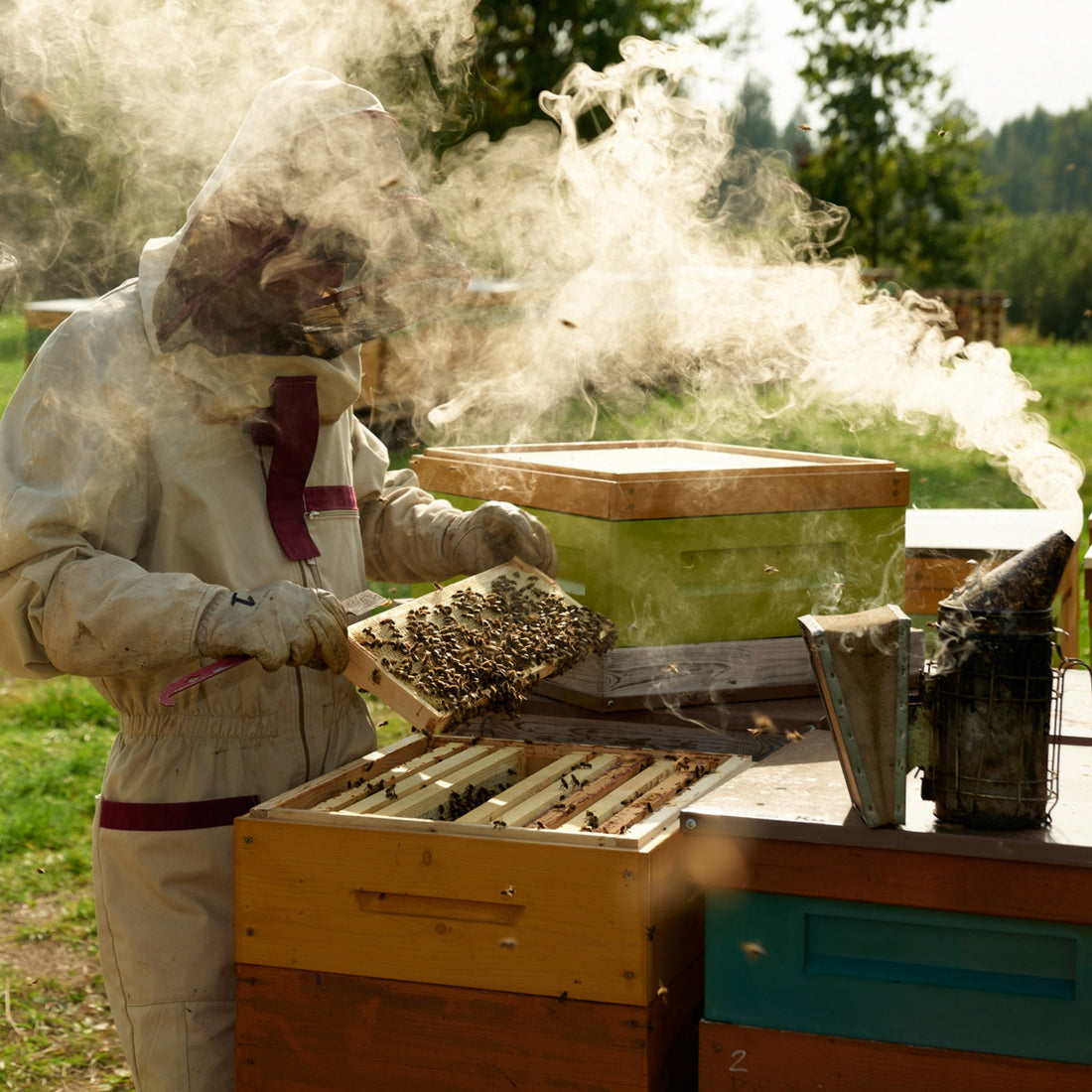 Bee Pollen 100g in Paper Pouch Earthbreath