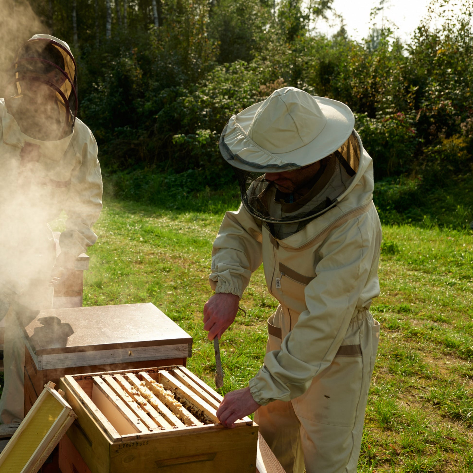 1kg Raw Honey - Wildflower | Forest | Clover | Heather | Spring | Meadow | Linden | Buckwheat Earthbreath