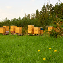 Load image into Gallery viewer, Organic Raw Wildflower Honey Earthbreath