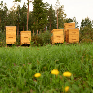 Organic Raw Meadow Flower Honey Earthbreath