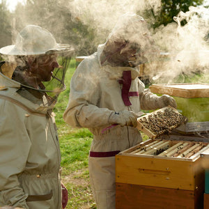 Bee Bread and Bee Pollen Pastilles Earthbreath