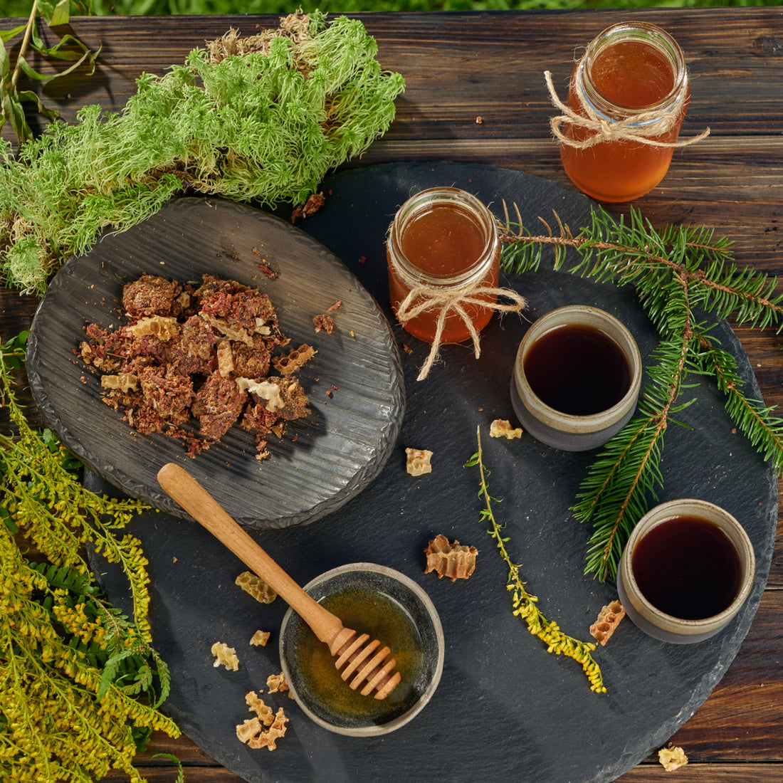 Organic Runny Raw Forest Honey Earthbreath