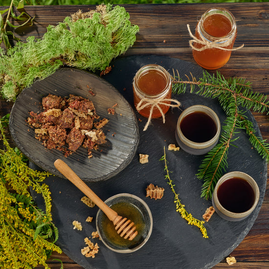 Organic Runny Raw Forest Honey Earthbreath