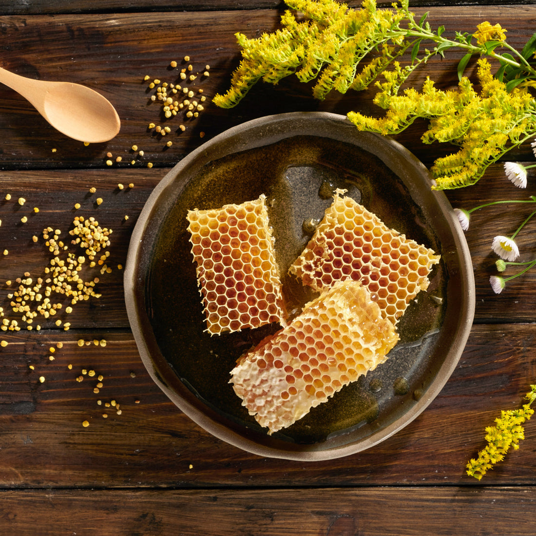 Organic Gingerbread Honey Earthbreath