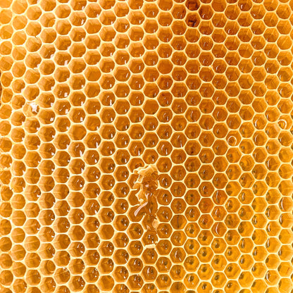 Organic Beeswax Blocks Earthbreath