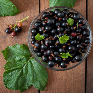 Honey with Black Currants (Copy) Earthbreath